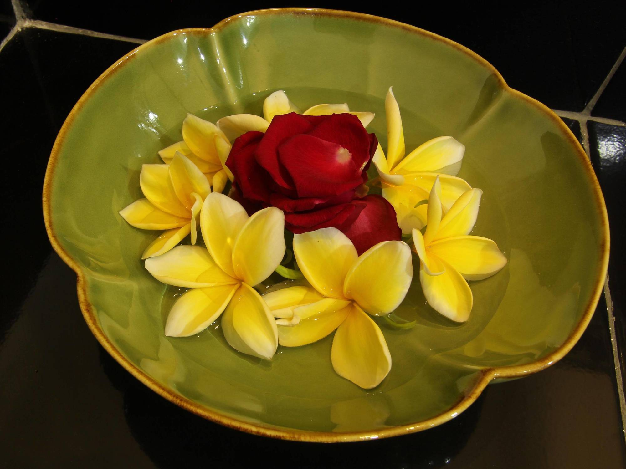 Frangipani Homestay Nusa Dua  Luaran gambar