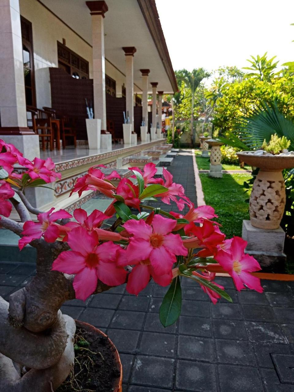 Frangipani Homestay Nusa Dua  Luaran gambar